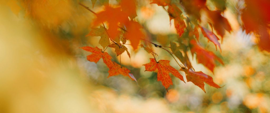 Co-Occurring Disorders