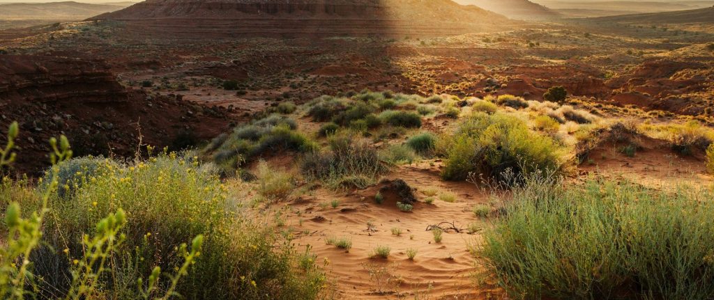 Mindfulness Counseling1